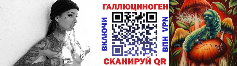 дарк нет телеграм  Райчихинск  Галлюциногенные грибы прущие грибы 