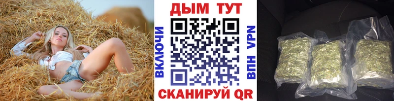 Шишки марихуана марихуана купить закладку Райчихинск